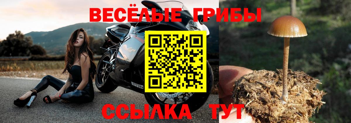 Кизляр  Псилоцибиновые грибы ЛСД  Вход с VPN 