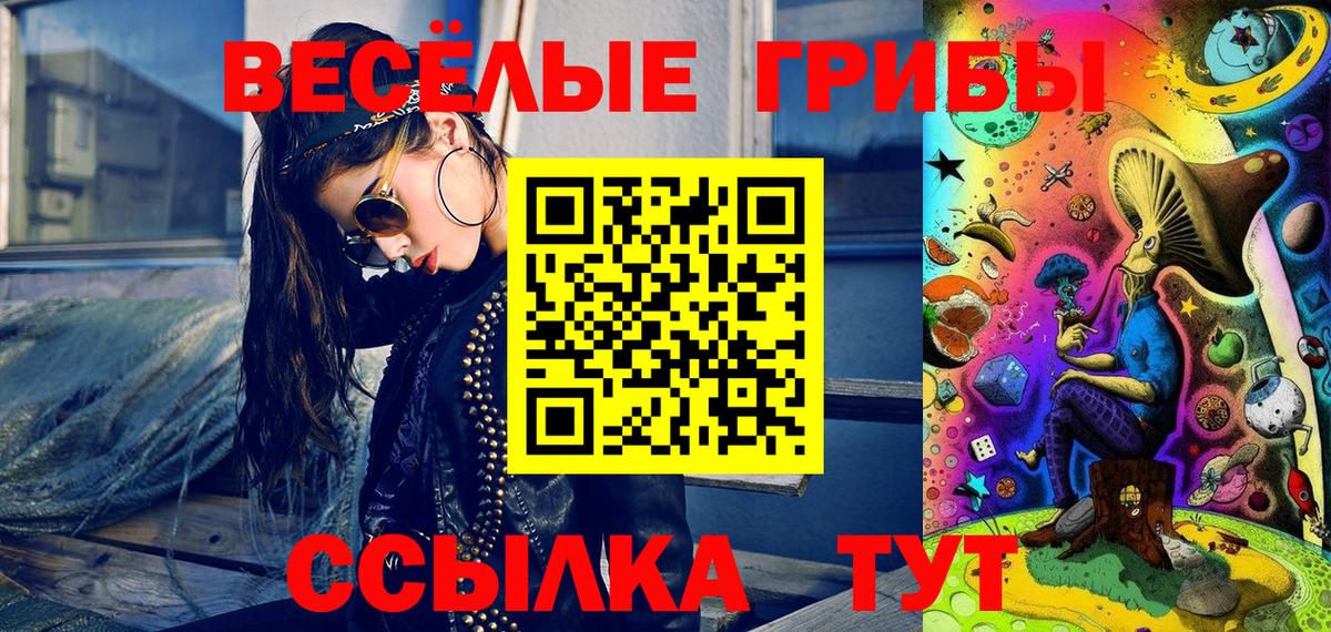 Псилоцибиновые грибы Psilocybe Кизляр